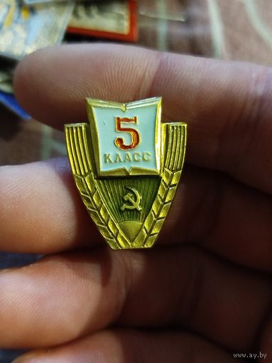5 класс