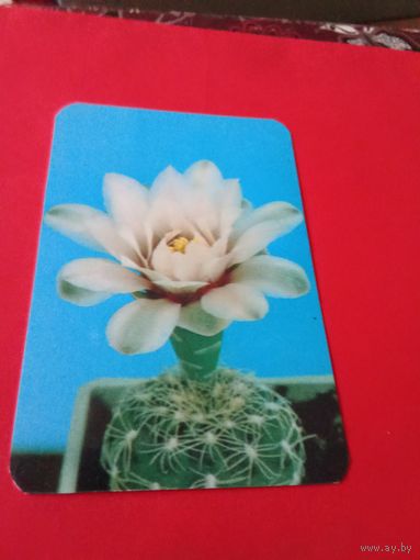 Календарик 1990г.