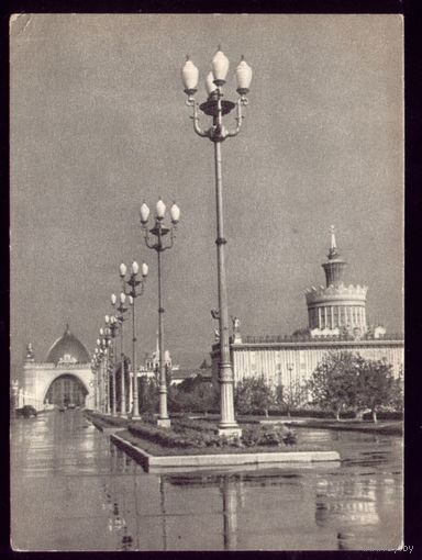 1954 год Москва Выставка Главная аллея