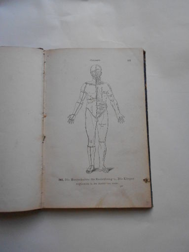 Старинный АНАTОМИЧЕСКИЙ АТЛАС. На немецком. WIEN.1875. С 320 гравюрами.в двух томах.
