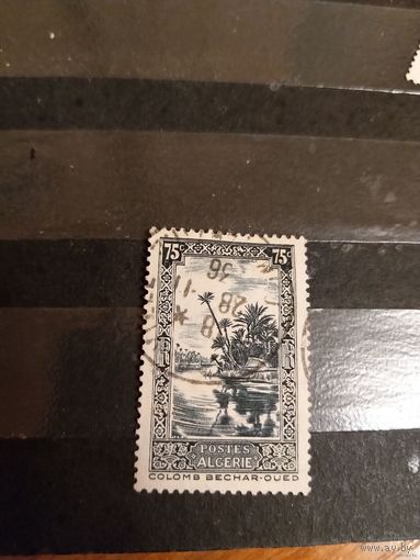 Французская колония Алжир флора (3-9)