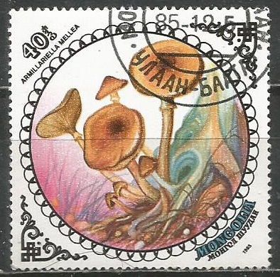 Монголия. Грибы. Опёнок осенний. 1985г. Mi#1741.