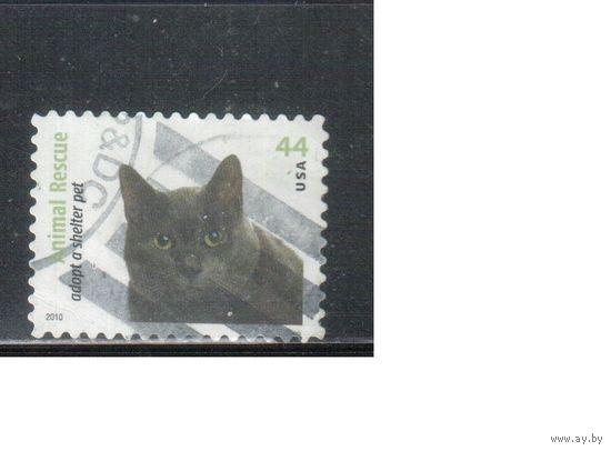 США-2010 (Мих.4610) , гаш., Фауна, Кошки(1)