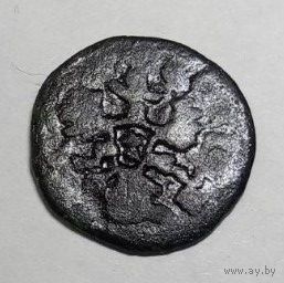 Боратинка фальш 13