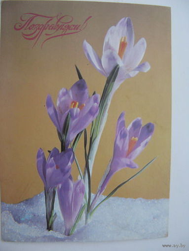 Поздравляю 1987г.