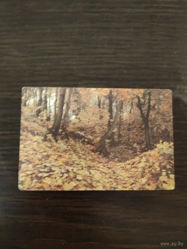 Календарик,пейзаж,1981