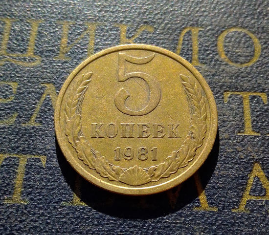 5 копеек 1981 СССР #15