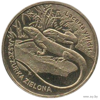 Республика Польша (III Речь Посполитая). 2 злотых 2009. Всемирная природа. Фауна. Ящерица.