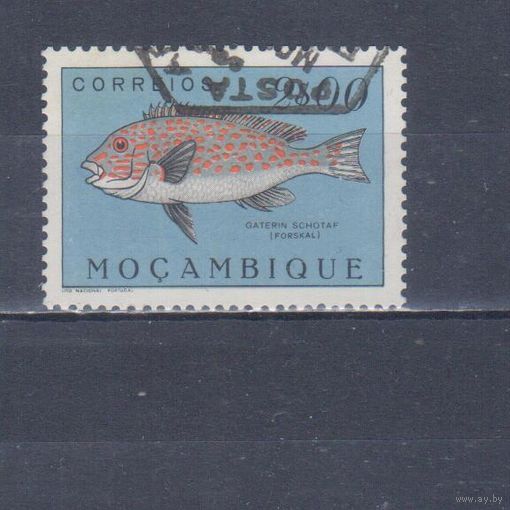 [1975] Португальский Мозамбик 1951. Фауна.Рыба.2 э. Гашеная марка.
