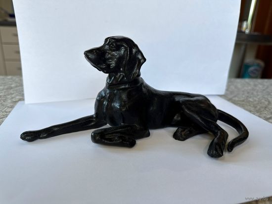 Собака - Поинтер. Касли