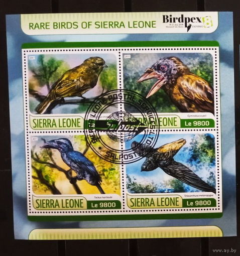 ЛИСТ ФАУНА ПТИЦЫ  СТО