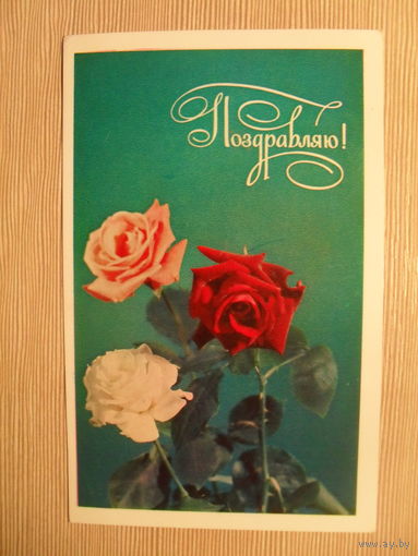ПОДПИСАННАЯ ОТКРЫТКА. СССР. ПОЗДРАВЛЯЮ! фото. В. ЛИСЕЦКОГО. 1976 г.