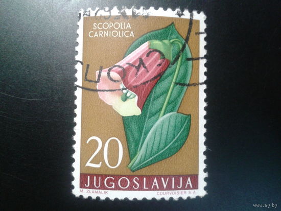 Югославия, 1959. Поганка