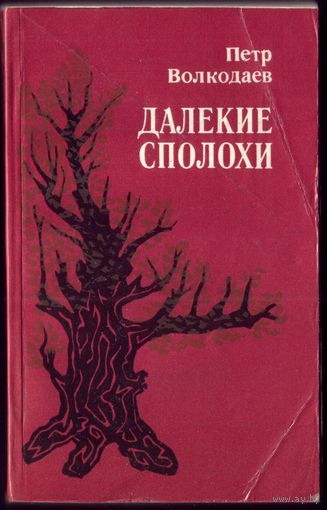 П.Волкодаев Далёкие сполохи