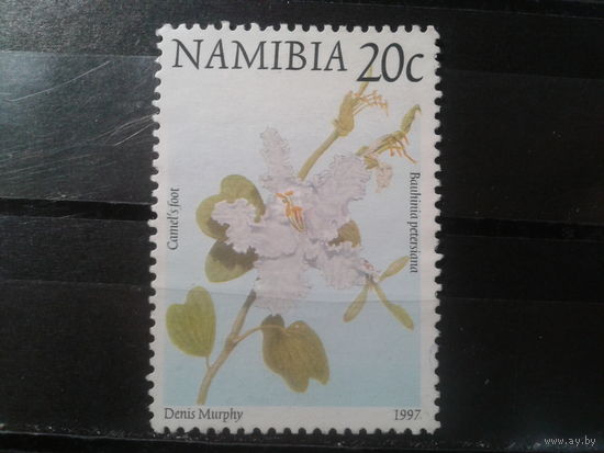 Намибия, 1997. Цветы