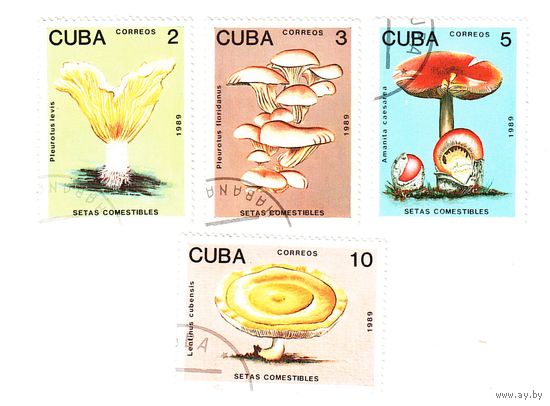 Куба 1989 Грибы