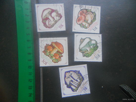 Монголия-1964, гаш. , 5 марок, Флора, Грибы