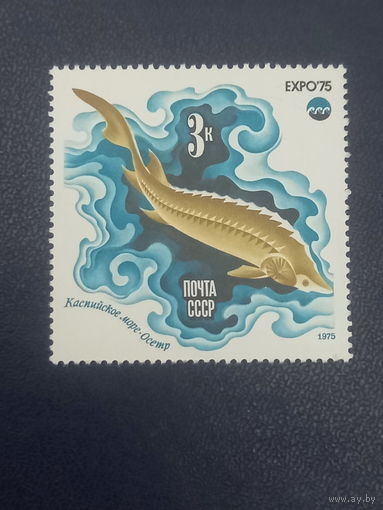 СССР 1975г. Экспо-75 Каспийское море.Осетр