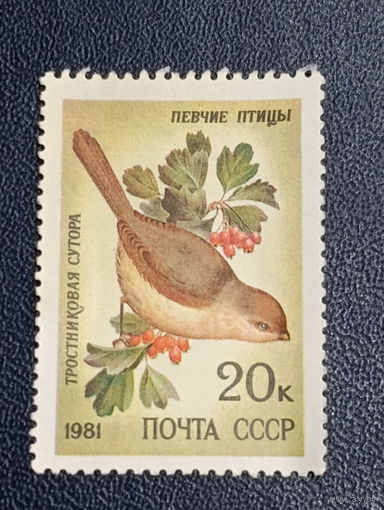 Певчие птицы.Тростниковая сутора. СССР 1981г.