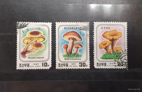 Корея. 1987 год. Флора. Грибы (97)