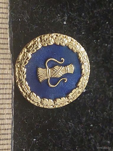 Значок швеция