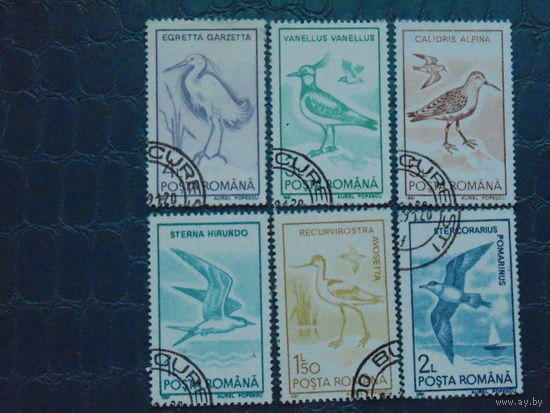 Румыния 1991г. Птицы.