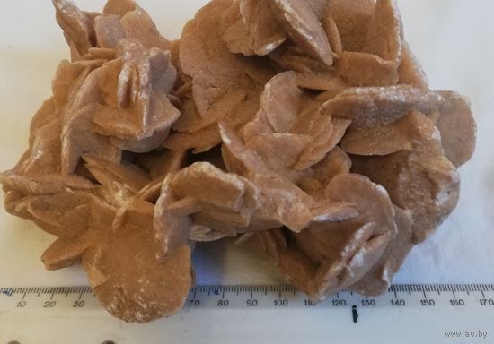 Камень, минерал "Роза пустыни, песков", из Сахары