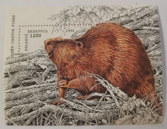 Блок "Европейский бобер"