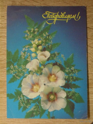 ПОДПИСАННАЯ ОТКРЫТКА СССР. "ПОЗДРАВЛЯЕМ". ФОТО. И. ДЕРГИЛЕВА. 1991 ГОД.