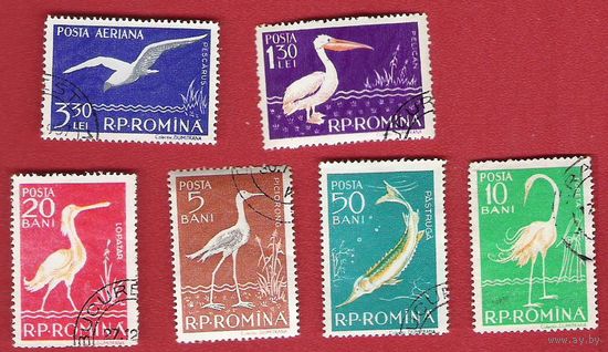 Румыния 1957 Фауна Дуная
