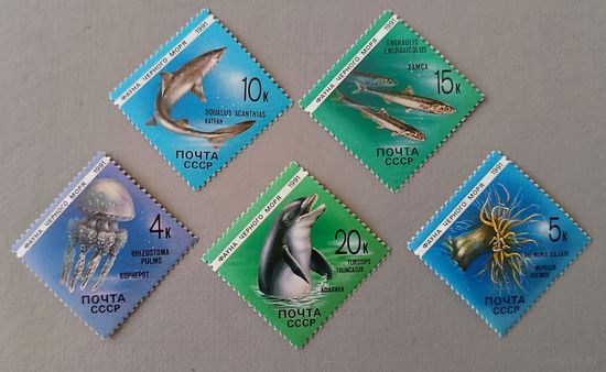 Фауна Черного моря. СССР, 1991