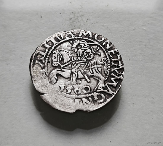 Полугрош 1560 г. Сигизмунд II Август, Вильно, лот рп-14,4
