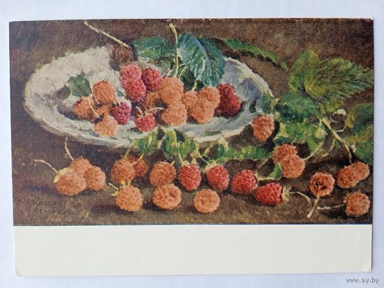 1955. Машков. Малинка