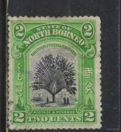 GB Протекторат Северное Борнео 1909 Равенала (дерево путешественников) Стандарт #128
