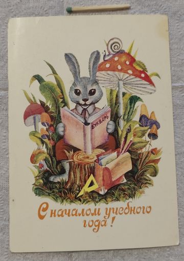 Крапошин с началом учебного года