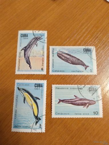 1984 Куба фауна моря (4-6)