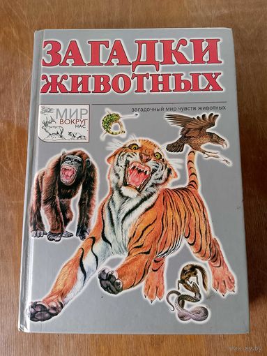 Загадки животных