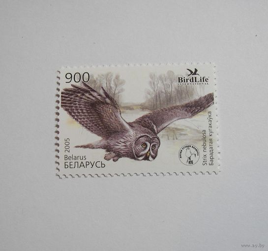 Птица года. Бородатая неясыть. 1м. 2005г.