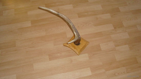 Сувенир