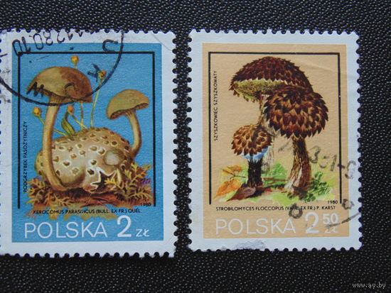 Польша 1980 г. Грибы.