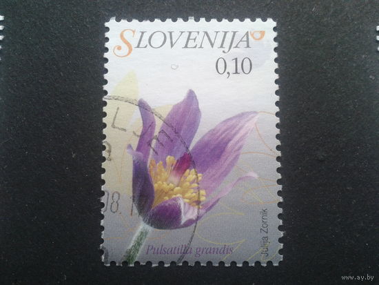 Словения 2007 стандарт, цветы