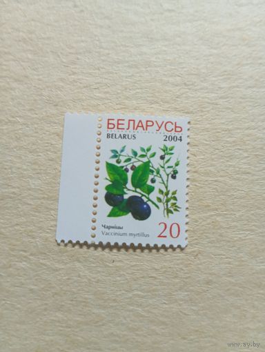 Марки Беларусь. Марка станд. Черника. 2004 год