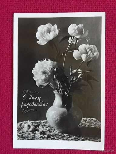 С Днем Рождения! 1958 г.
