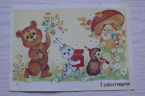 Юрасова О., 1 сентября; 1986, чистая (меведь, заяц, ёжик).