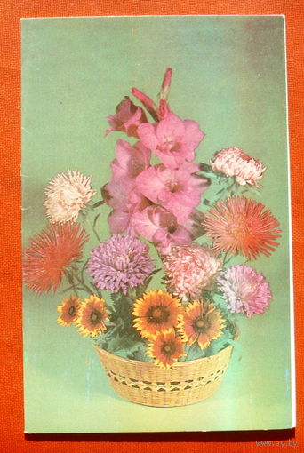 Поздравляем! Двойная. Чистая. 1980 года. Круцко. 1805.