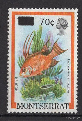 Монтсеррат 1983** Морская фауна Рыбы