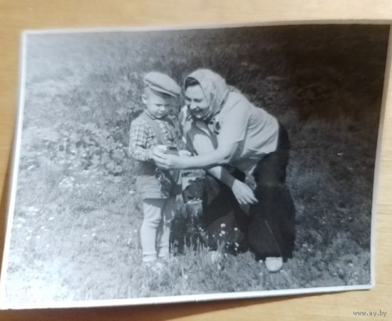 Фото в коллекцию