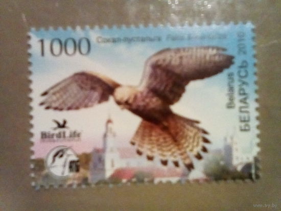 Беларусь 2010 пустельга