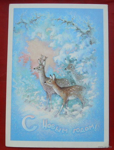 С новым годом! Чистая. 1979 года. Исаков. *232.