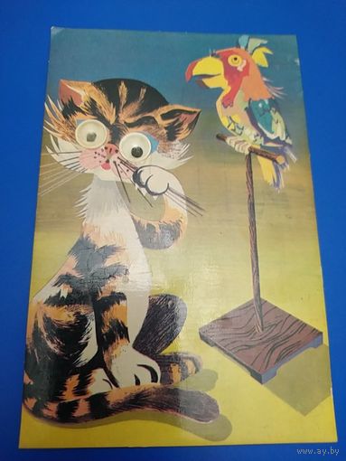 Кот и попугай